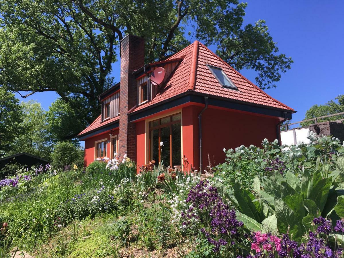 Kleine Villa Im Wilden Garten Gummersbach Dış mekan fotoğraf