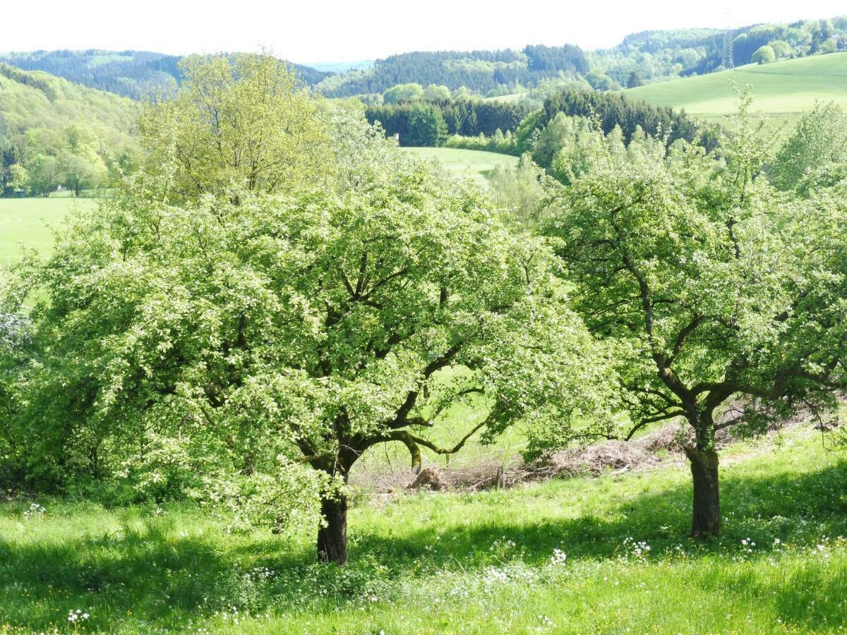 Kleine Villa Im Wilden Garten Gummersbach Dış mekan fotoğraf