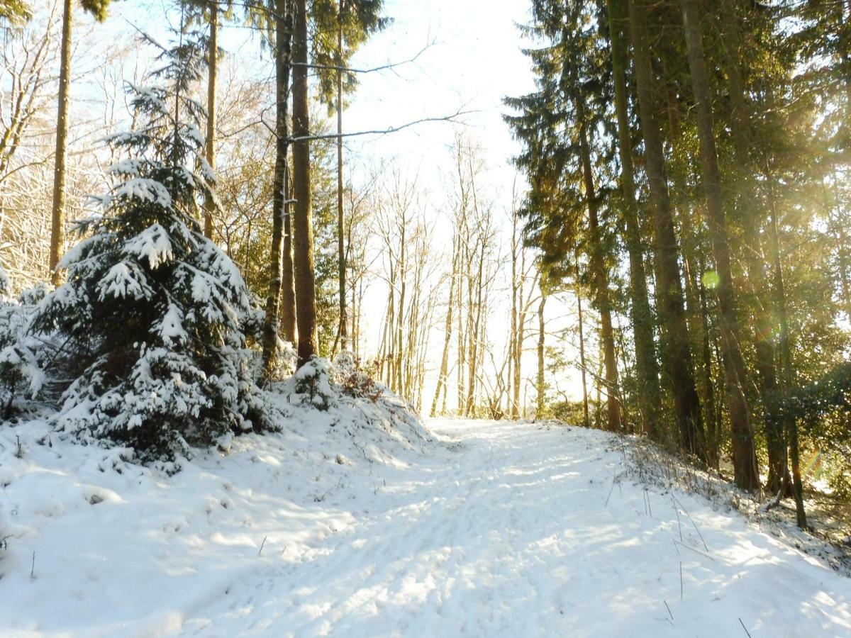 Kleine Villa Im Wilden Garten Gummersbach Dış mekan fotoğraf