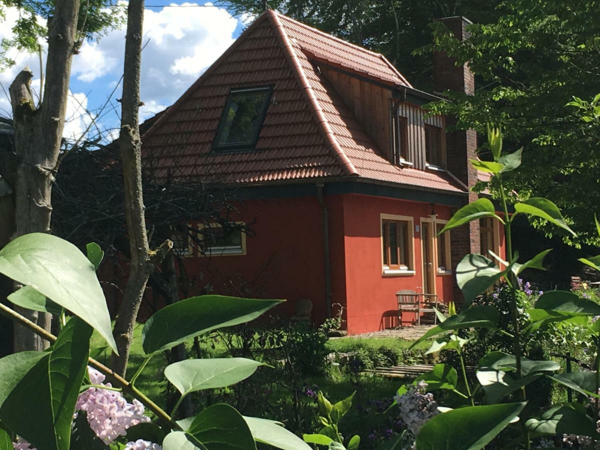Kleine Villa Im Wilden Garten Gummersbach Dış mekan fotoğraf