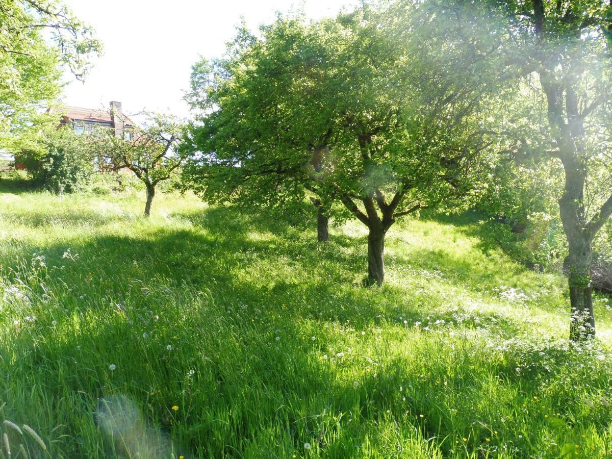Kleine Villa Im Wilden Garten Gummersbach Dış mekan fotoğraf