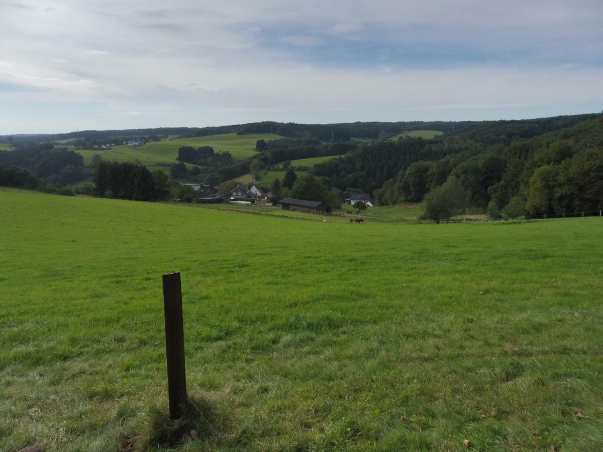Kleine Villa Im Wilden Garten Gummersbach Dış mekan fotoğraf