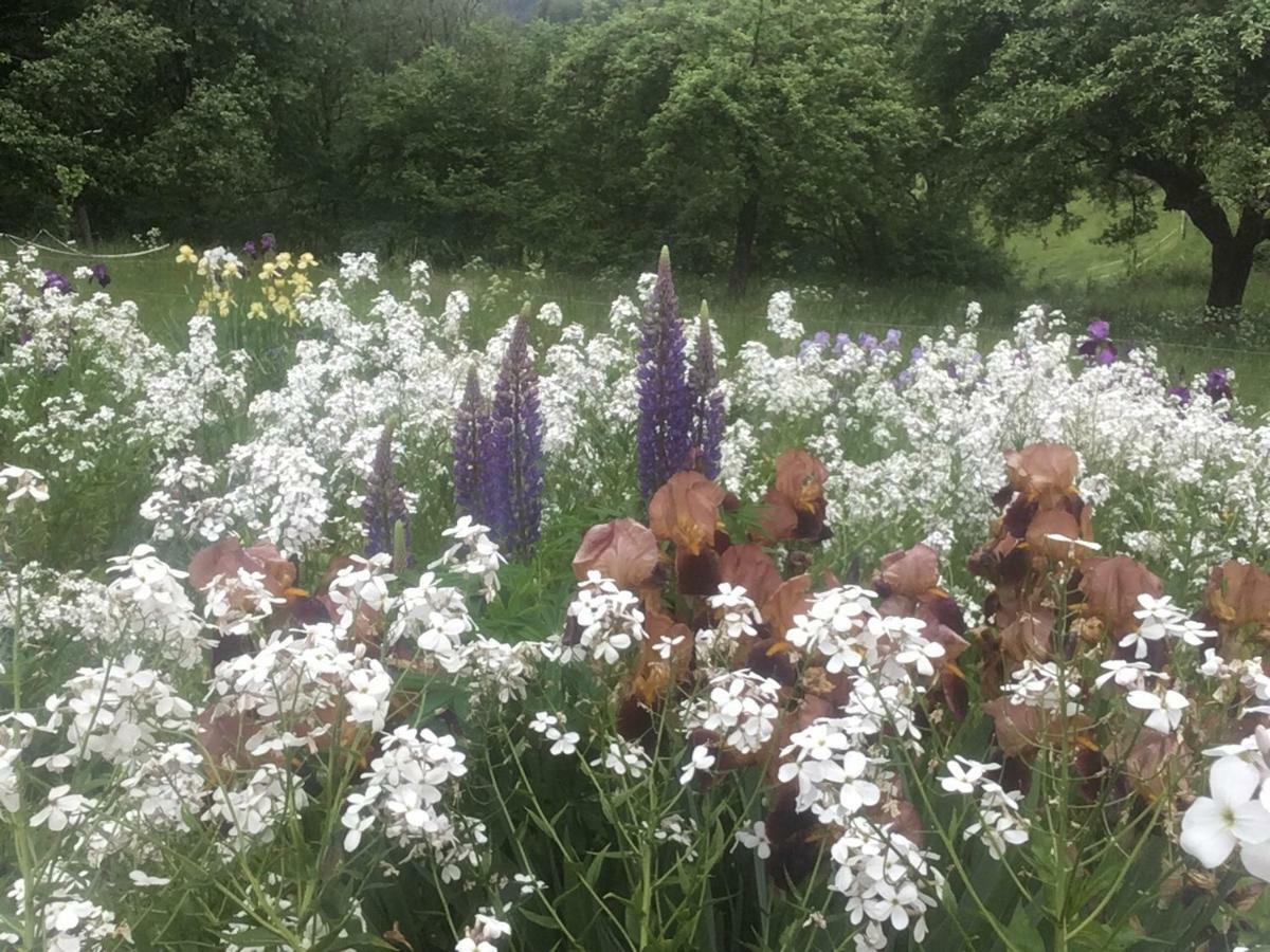 Kleine Villa Im Wilden Garten Gummersbach Dış mekan fotoğraf